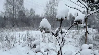 В Коми 25 ноября усилится снег, местами ожидаются метель и гололедица