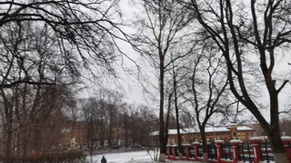 Тамара Глоба назвала четыре знака Зодиака, которым улыбнется удача после 21 ноября