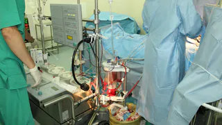 Врачи ОДКБ спасли мальчика, пострадавшего в ДТП