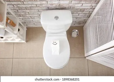 Найден предмет, который грязнее, чем унитаз