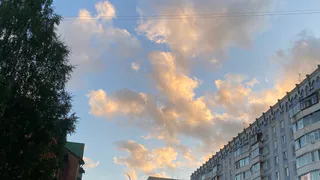 23 августа в Коми ожидаются погодные контрасты: грозовые ливни на севере и приятное тепло на юге