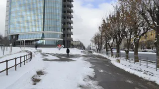 Кролик будет благоволить трем знакам Зодиака: Павел Глоба назвал фаворитов 2023 года