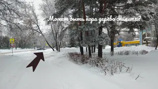 «Ждете, пока на кого-то свалится?»