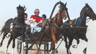 Фестиваль русской самобытности пройдёт в усадьбе «Богдарня» Петушинского района