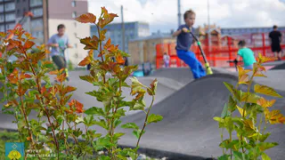 Скейт-парк в Сыктывкаре ждет масштабное озеленение