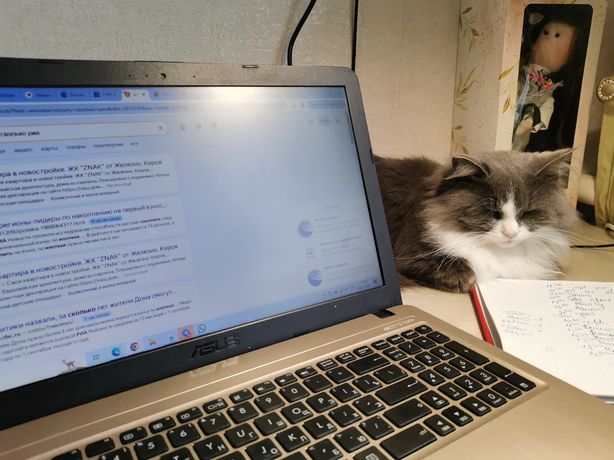 433 тысячи самозанятых в Татарстане: сколько из них копят на пенсию