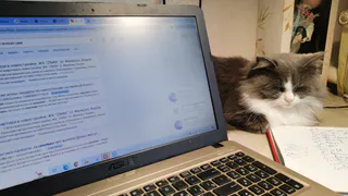 433 тысячи самозанятых в Татарстане: сколько из них копят на пенсию