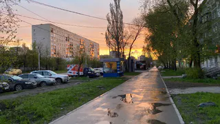 В Коми 22 июня ожидается прохладная и ветреная погода