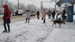 Указ приняли без лишней шумихи: пенсионеры в конце января получат на карточку заветную выплату с четырьмя нулями