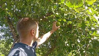 Старый фермер на ярмарке подсказал: 12 лет безуспешно боролись с тлей на участке и избавились от нее за 1 день