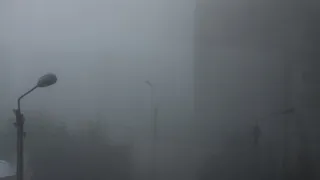 Туман в Рязани сохранится до вторника