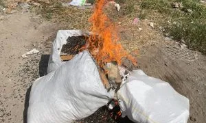 В Чувашии уничтожили 102 кг семечек сомнительного происхождения