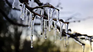 Погода: в Новый год Россия войдет с плюсом