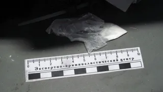 В Коми полицейские задержали жителей за хранение наркотиков