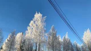 «Январь будет самым аномальным». Синоптики поделились обновленным прогнозом на середину зимы