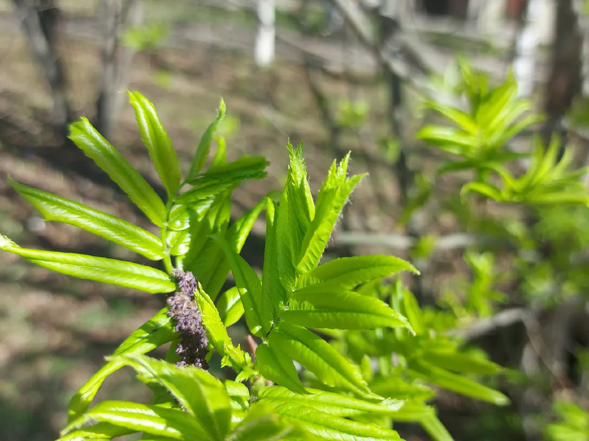 Погода на Южном Урале: солнечные дни сменяются прохладными ночами
