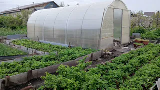 Сорняки разом завянут: растворите стакан на ведро и полейте вечером — с утра не узнаете свой огород