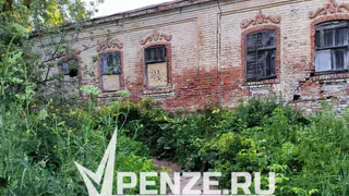 «Уберите борщевик!» Жители Сердобска жалуются на заросли опасного растения у местного пляжа и воду с черным илом