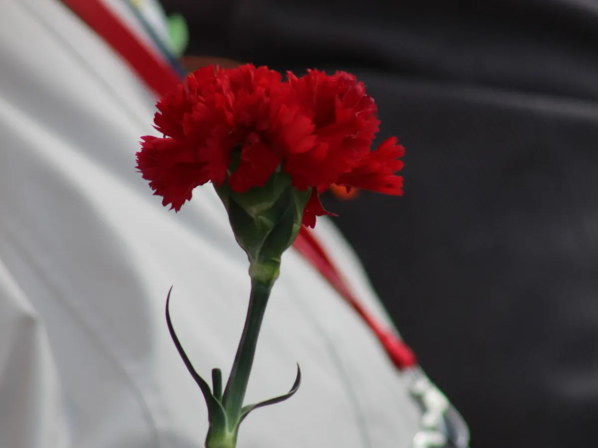 9 мая в Челябинской области продали больше цветов, чем 8 марта