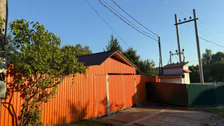 Деревенский мужик купил дешевый инструмент и за лето заработал себе на машину - вот какой бизнес он придумал