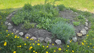 Отыскал, чем улучшить триммер — отныне леска перестала рваться даже о камни: косит колючки, как масло