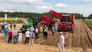 На Брянщине проходит Международный день картофельного поля