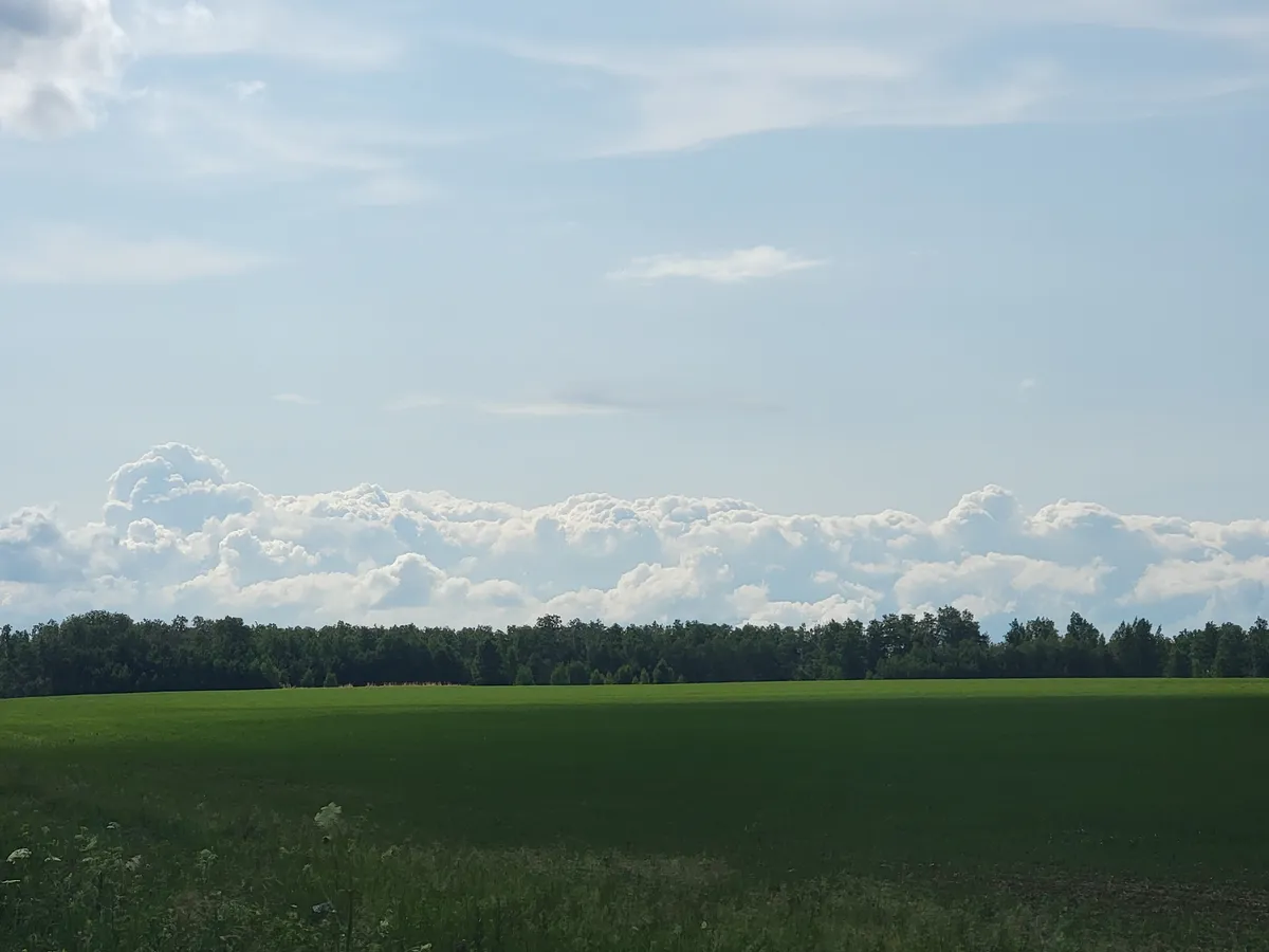 Осеннее солнце вернется в Челябинскую область: жителей региона ждет комфортное потепление до +20 градусов