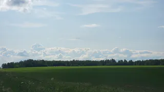 Осеннее солнце вернется в Челябинскую область: жителей региона ждет комфортное потепление до +20 градусов