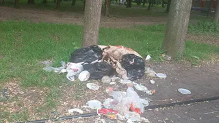 Возле Зеленого театра: в ЦПКиО “выросла” куча мусора