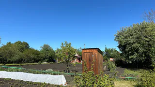 Вводят строгий запрет: абсолютно всех, у кого есть туалет на даче, огорошили новым правилом с 1 августа