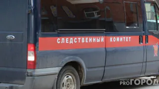 В Гусь-Хрустальном нетрезвый водитель искалечил своего 4-летнего сына