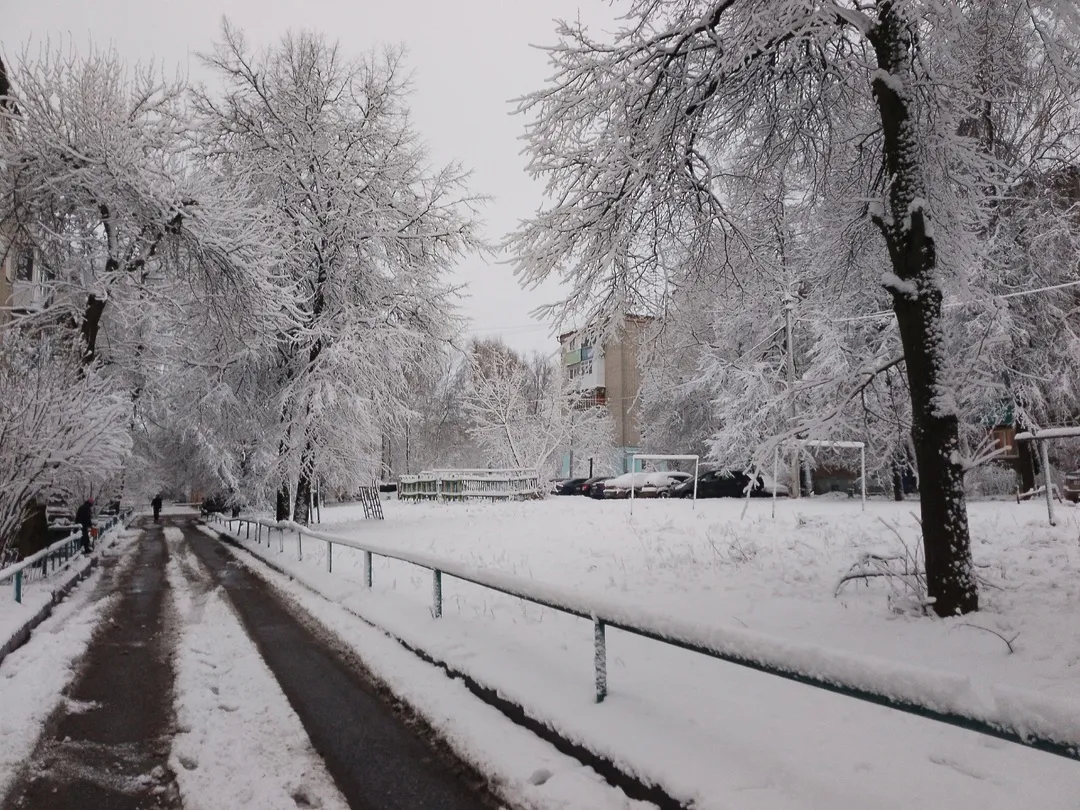 Штормовое предупреждение объявлено в Челябинской области: метели, снегопады и гололедица ожидаются 10 декабря