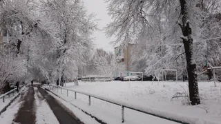 Штормовое предупреждение объявлено в Челябинской области: метели, снегопады и гололедица ожидаются 10 декабря