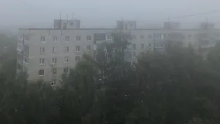 Выпала из окна: на Народном бульваре насмерть разбилась пятилетняя девочка