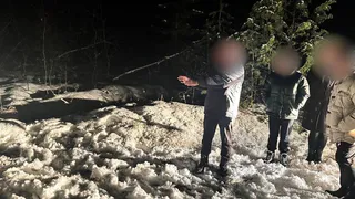 Подозреваемый в убийстве участника боевых действий житель Гусь-Хрустального заключён под стражу