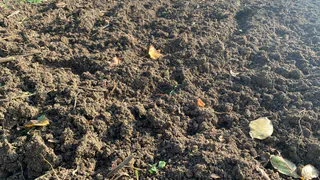 В Рязани обсудили подготовку к посевной в регионах Нечерноземья