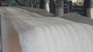 Производство сахара в Пензенской области достигло отметки в 250 тысяч тонн