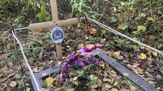 Рязанцы организовали незаконное кладбище для животных: как похоронить питомца по правилам