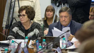 Брянские сенаторы Лахова и Калашников отчитались о доходах