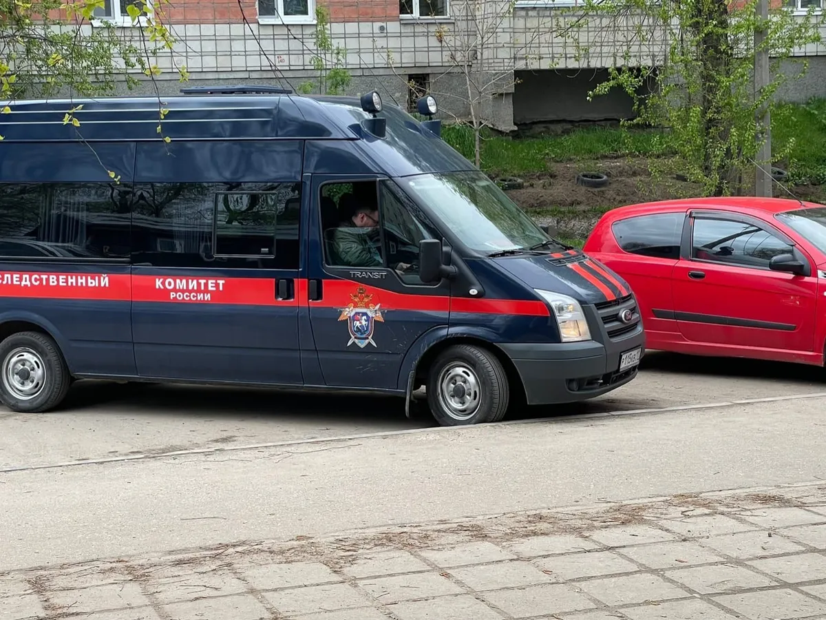 Глава СК России Бастрыкин взял на контроль историю о нападении бродячей собаки девочку в Челябинской области