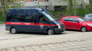 Глава СК России Бастрыкин взял на контроль историю о нападении бродячей собаки девочку в Челябинской области