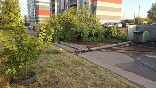 Как бушевала стихия в Рязани: фото- и видеоподборка