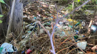 В Муроме разрослась свалка между домами на улицах Комсомольской и Первомайской