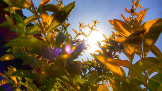 Погода в Рязани: первый осенний день будет жарким