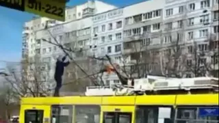 Эх, рогатый: на улице Новосёлов у троллейбуса загорелись штанги