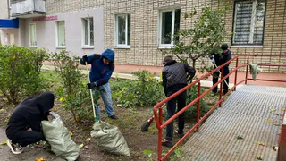 Во Владимире прошел общегородской субботник