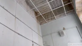 Глава города Дмитрий Наумов прокомментировал ситуацию с затоплением школы №15 во Владимире