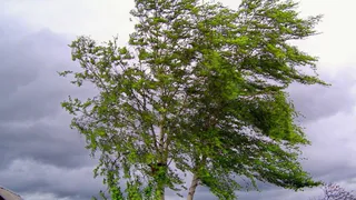 МЧС предупреждает рязанцев об опасных погодных условиях 10 июля 