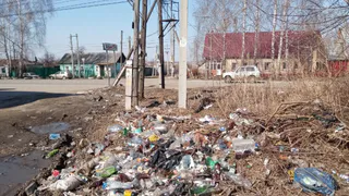 Новая помойка: рязанцы нашли в Дядькове очередную стихийную свалку