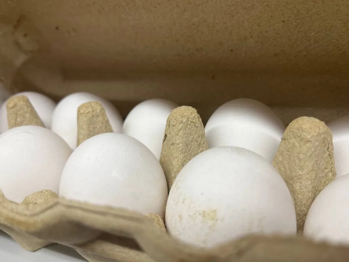 Цены на яйца в Челябинской области упали вдвое